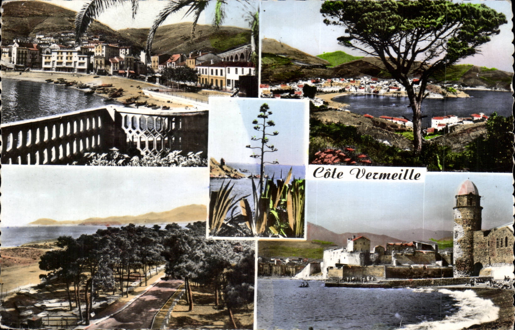 Vermilion dimension - CPA