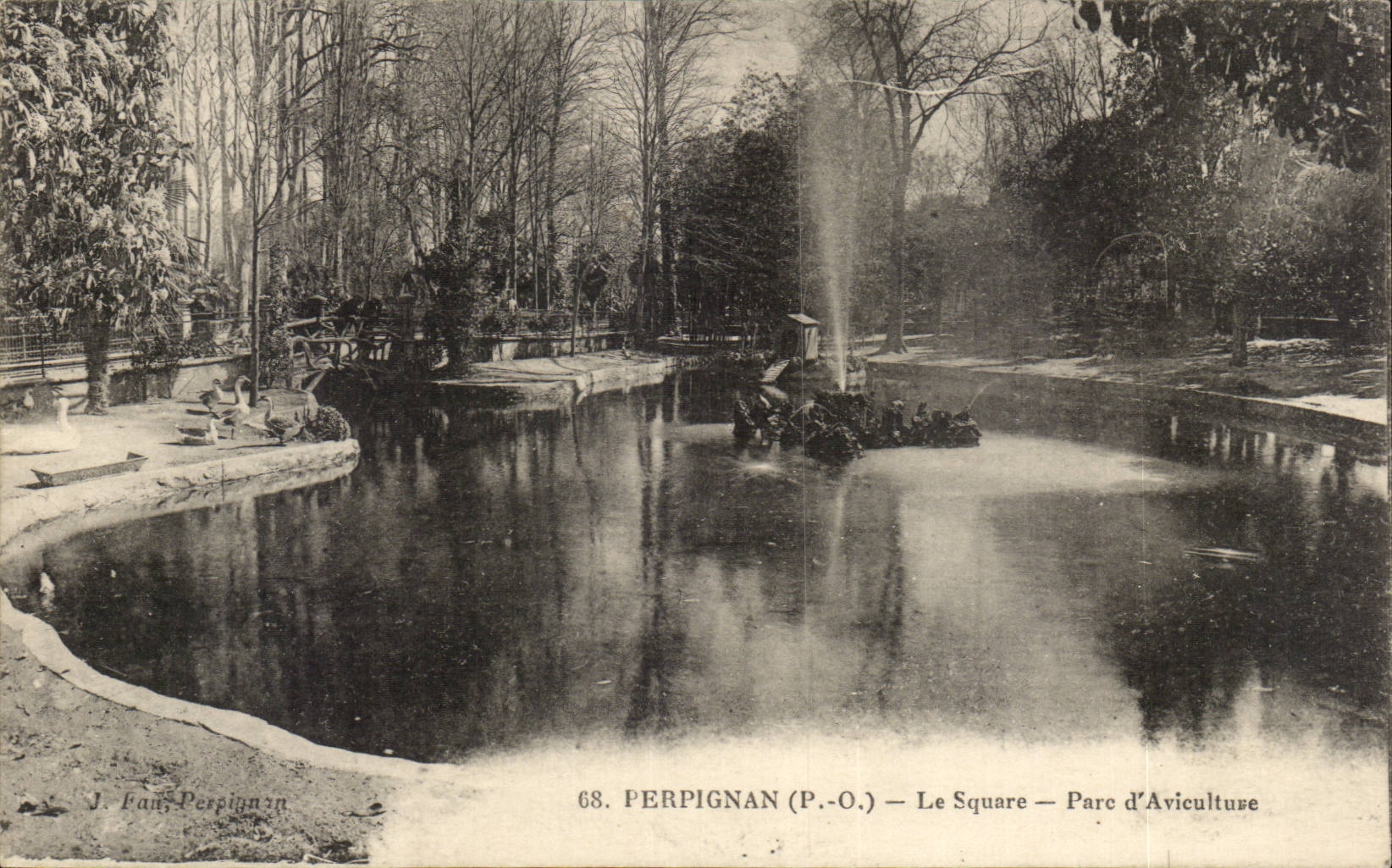 Perpignan - Le Square - Parc d'Aviculture - CPA