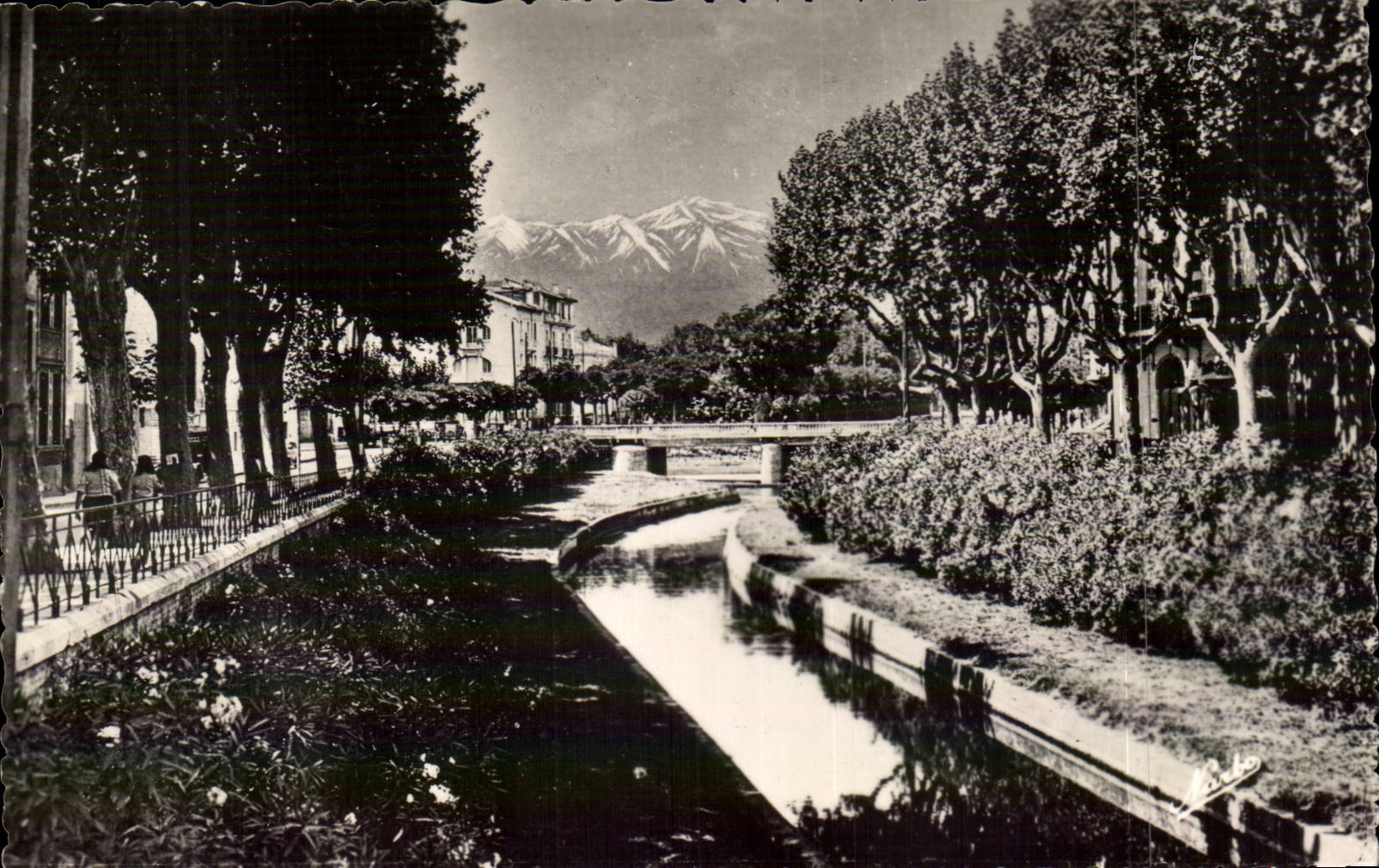 Perpignan - Les Quais fleuris de la Basse et au fond le Canigou - CPA 