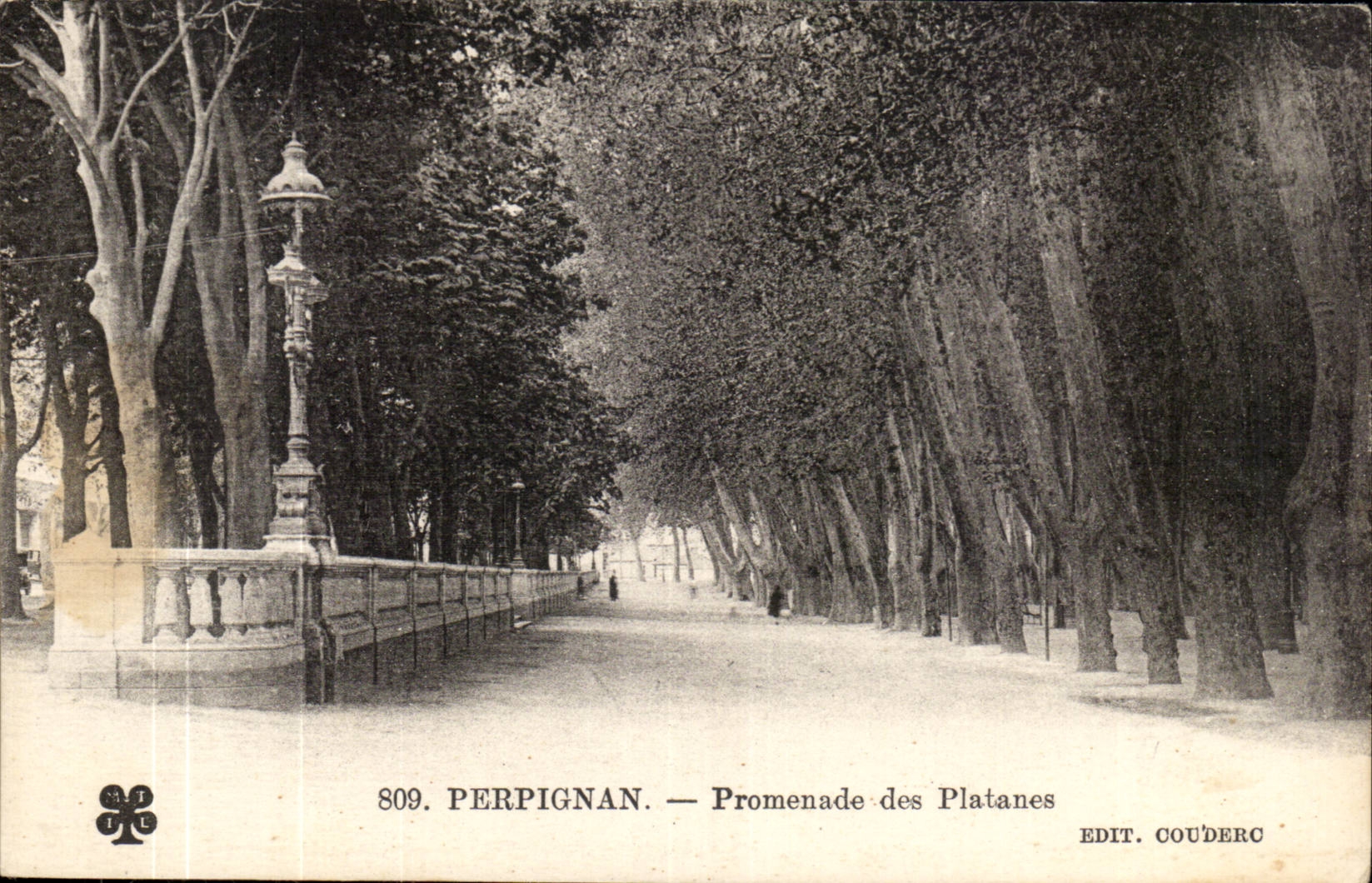 Perpignan - Promenades des Plantanes CPA 
