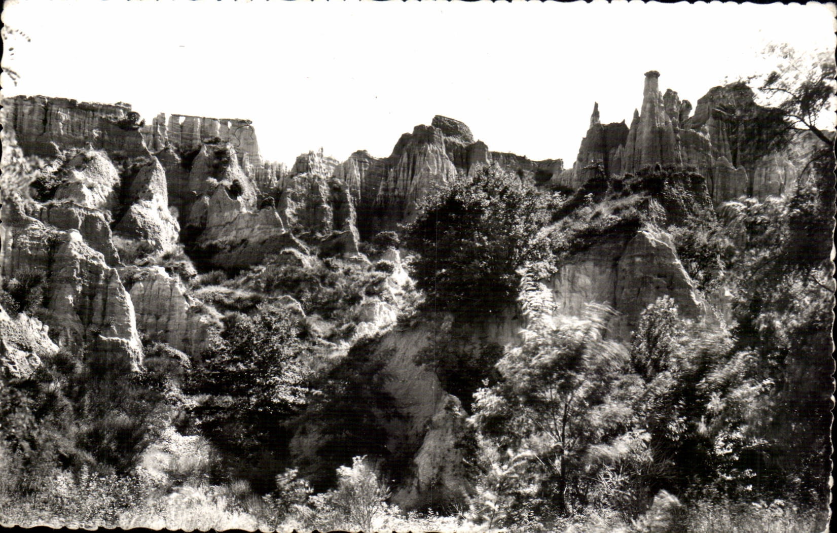 Island of Tech - Organ - CPA