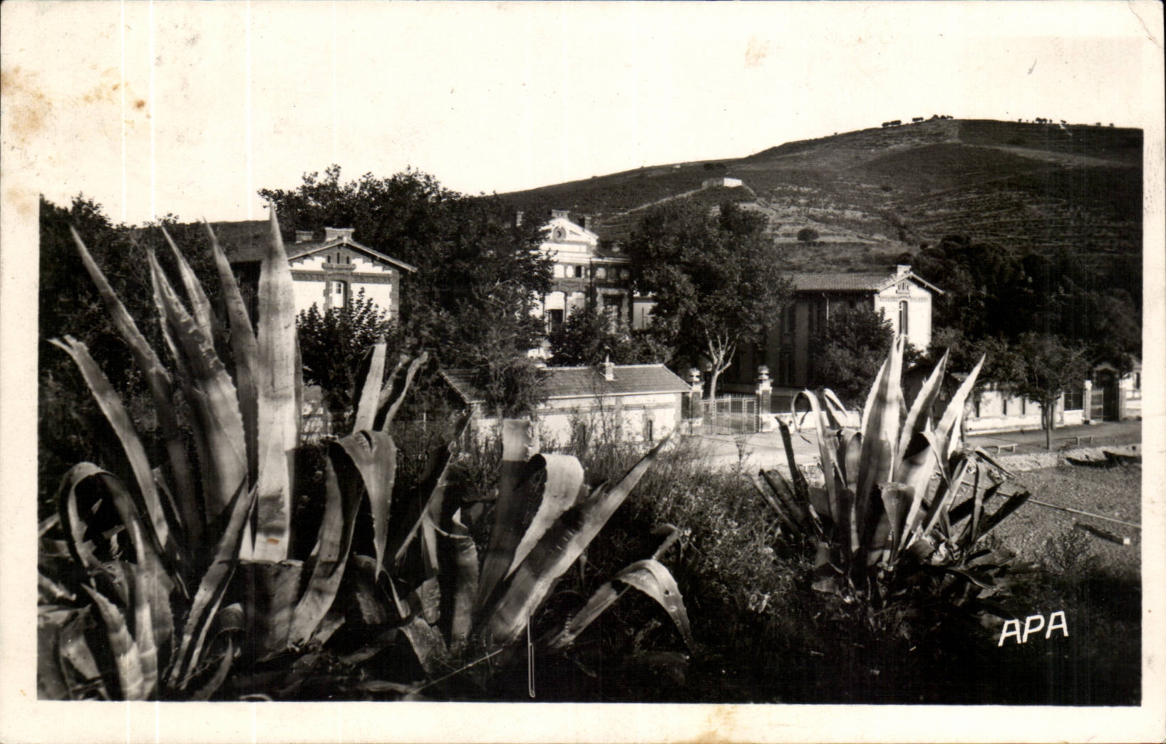 Banyuls on Sea - Entrance of the Sanatorium - CPA