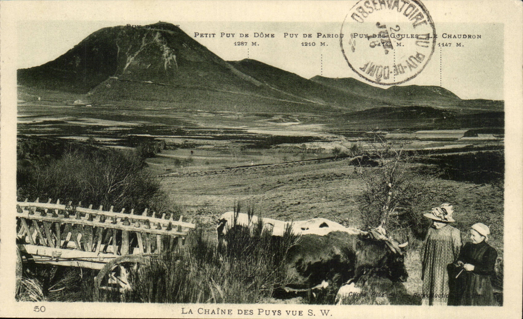 CPA Auvergne the chain of Puys Puy de Dome (cow)