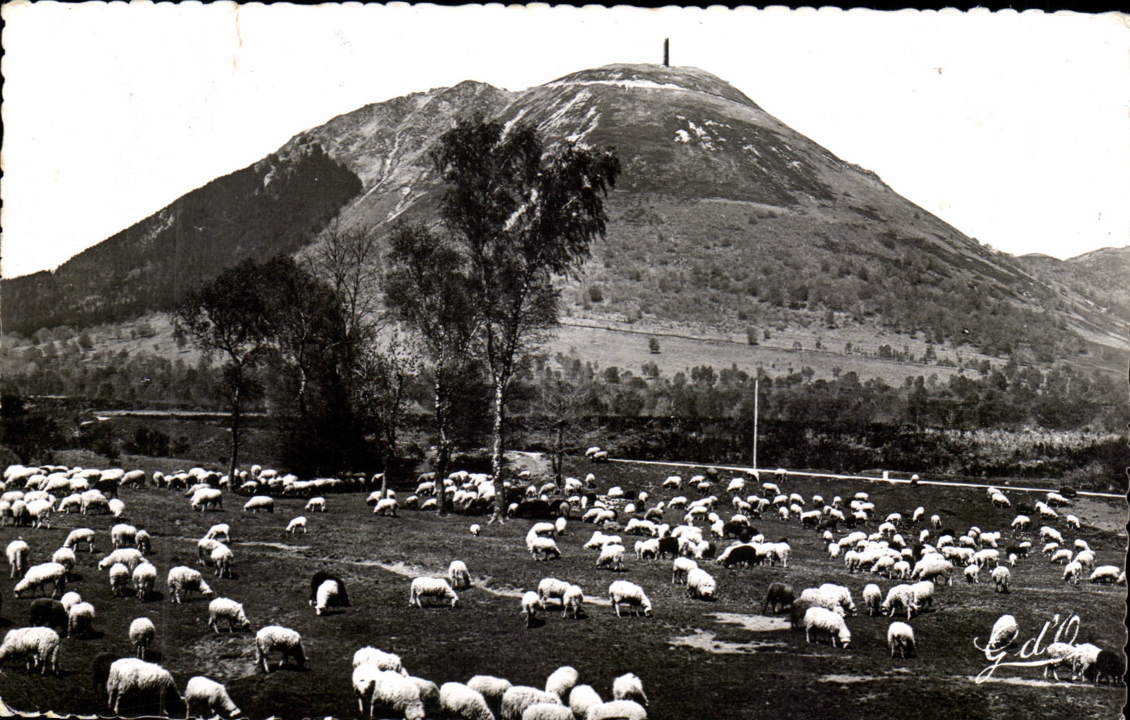 Auvergne CPA Pastures with the foot of Puy de Dome (sheep)