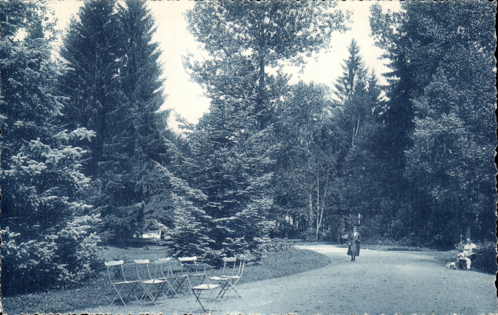 Bourboule - Park Fenestrates - CPA