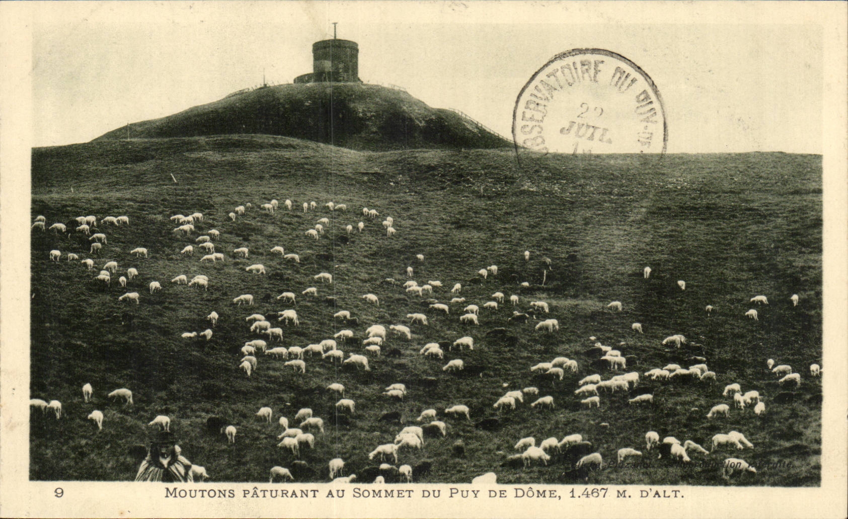 Sheep at the Top of Puy de Dome 1497 alt - shhep - CPA