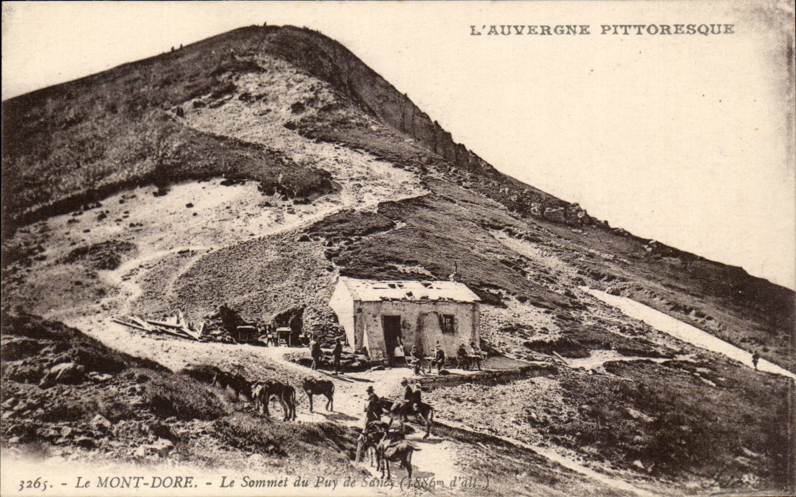 The Mount Gilds CPA the top of Puy SAncy (ass donkey mule)