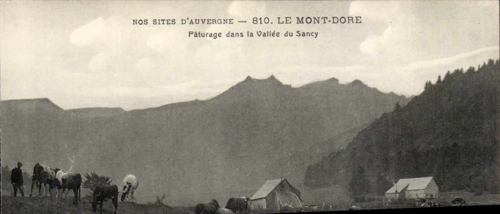 The Mount Gilds - Pasture in the Valley of the sancy - bull - bulldozers - CPA