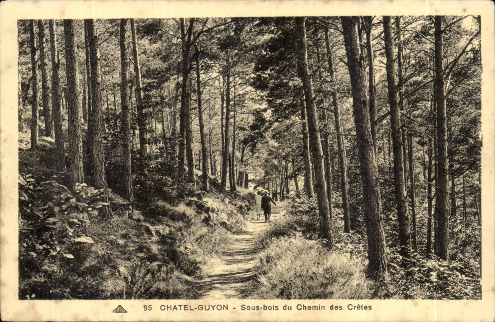 Chatelguyon - Chatel Guyon - unter Holz der Weise der Spitzen - CPA