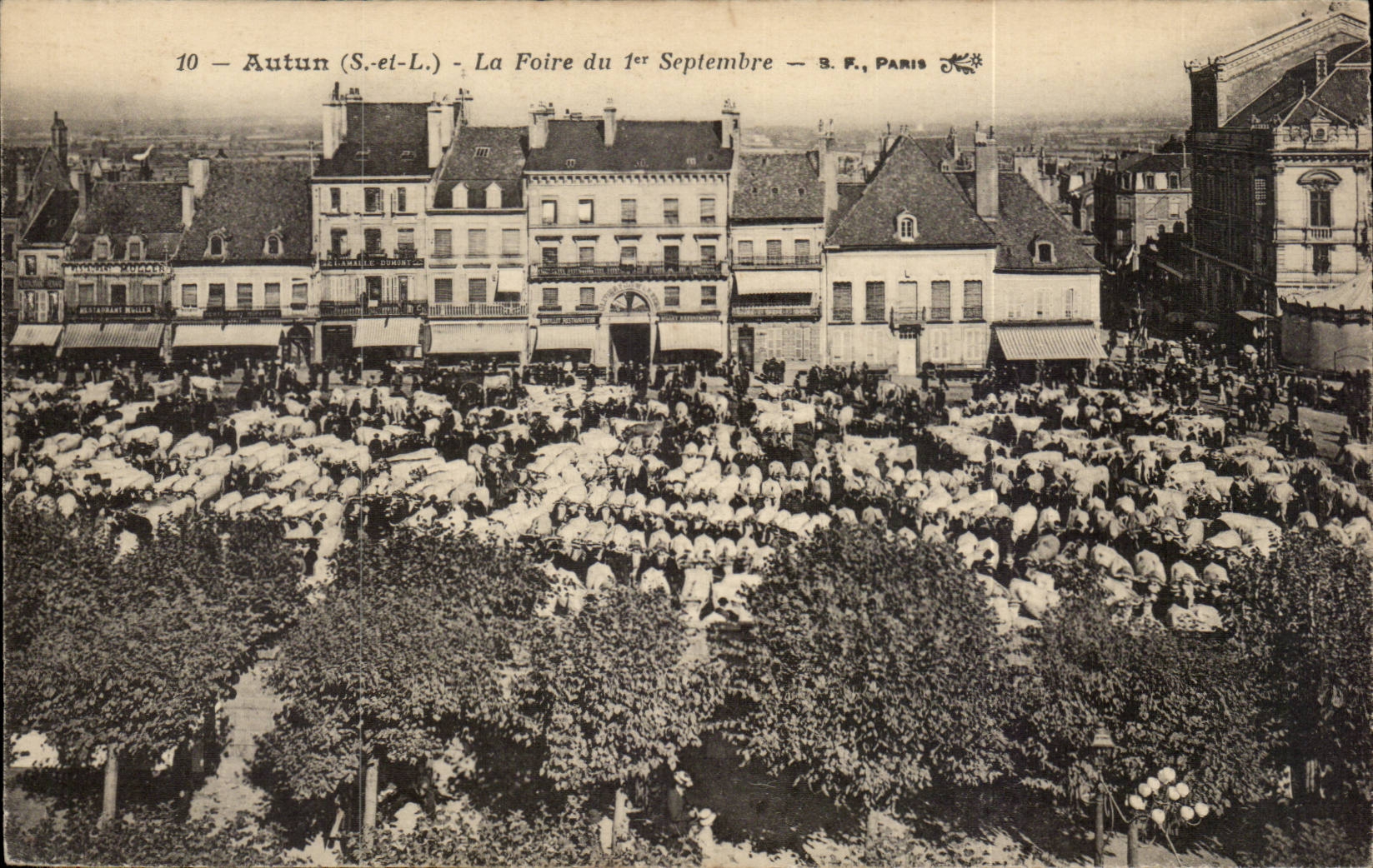 CPA Autun the fair of the &er September Oxen Cows Market