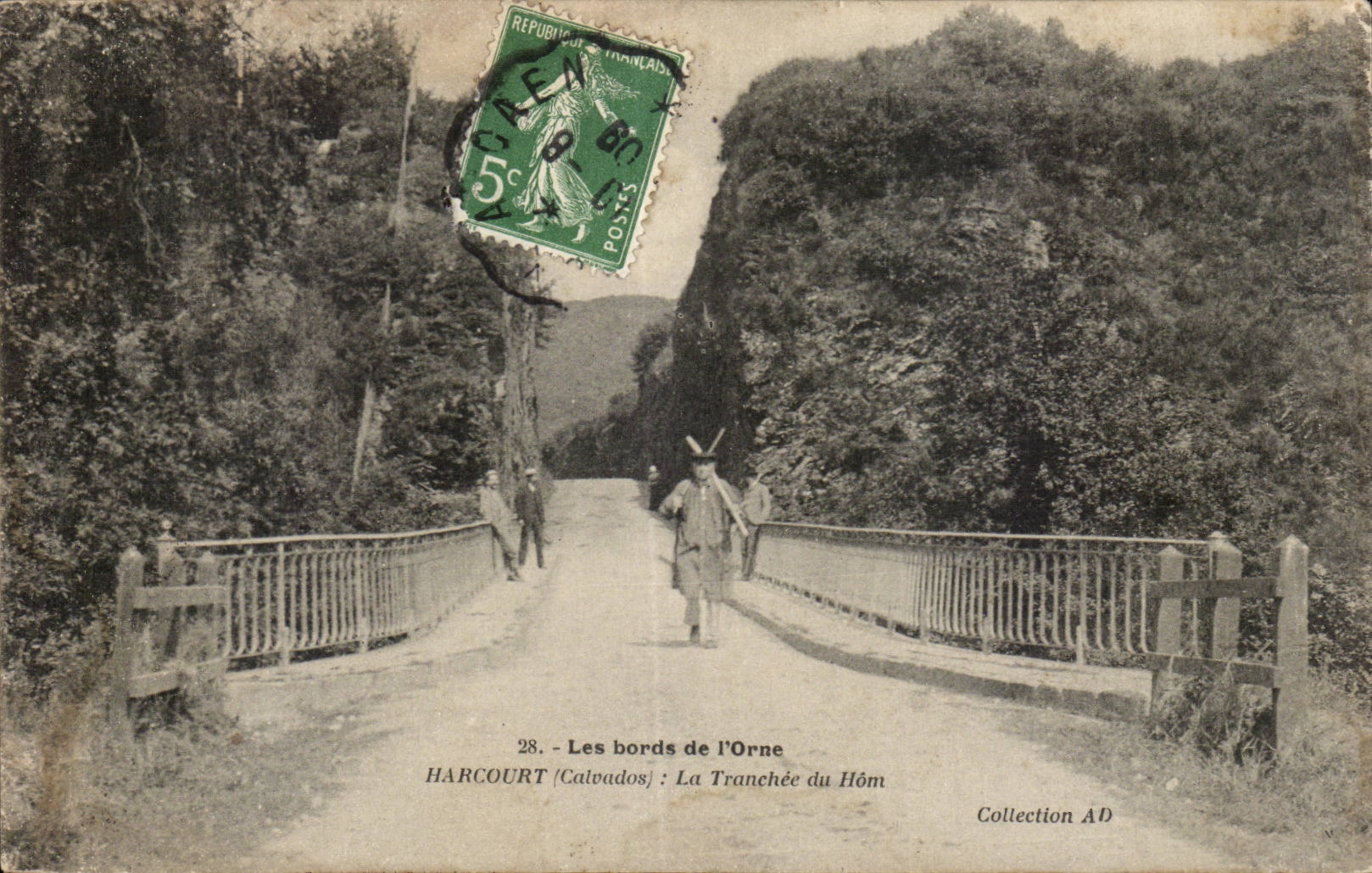 Harcourt CPA the trench of Hom