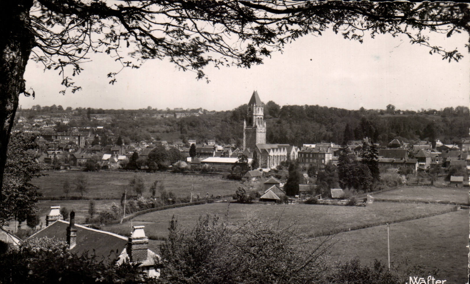 orbec MODERN CARD View