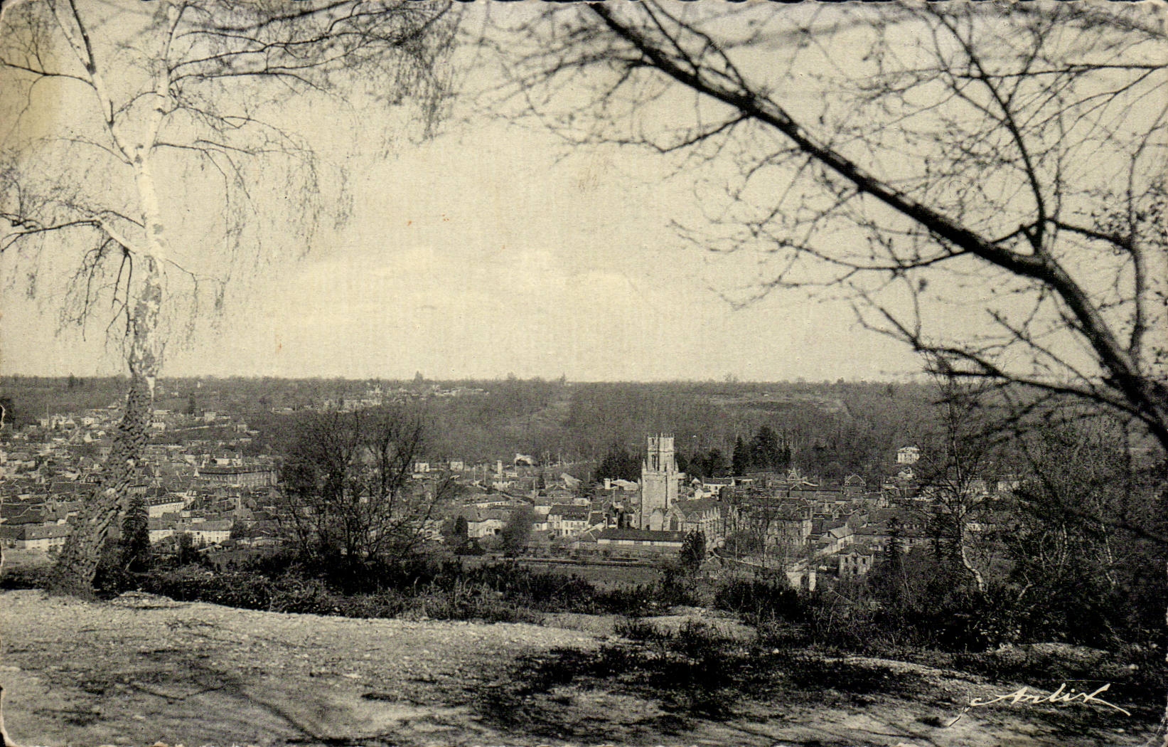 Orbec MODERN CARD View