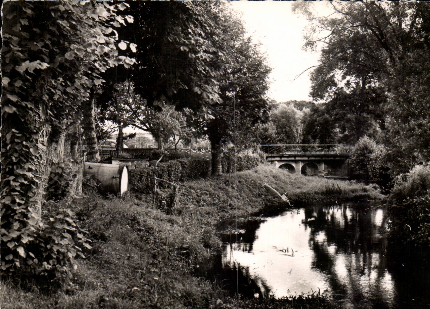 Saint stones on Divine MODERN CARD Bridge on the Divine ones