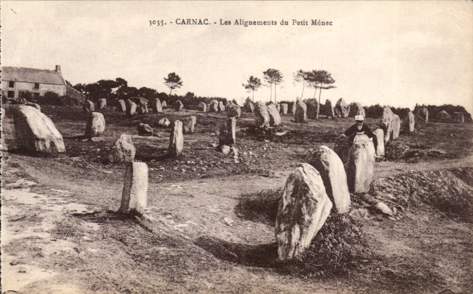Carnac - Les Alignements du Petit Meuec - CPA 