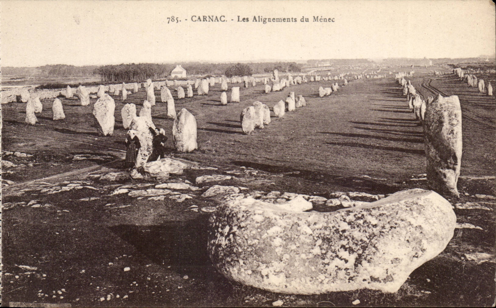 Carnac - Les Alignements du Menec - CPA 