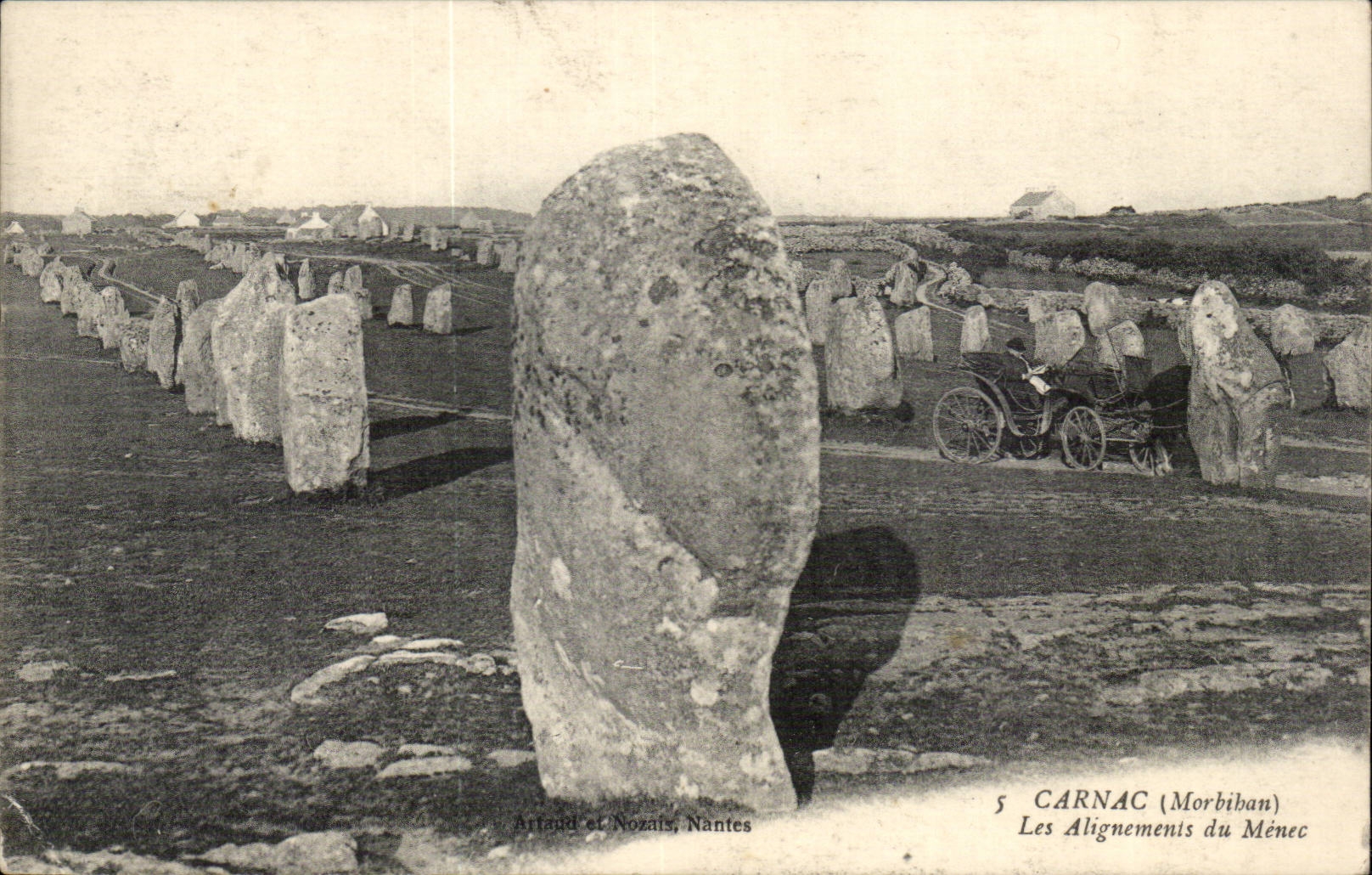CArnac CPA Les alignements du Menec (automobile)