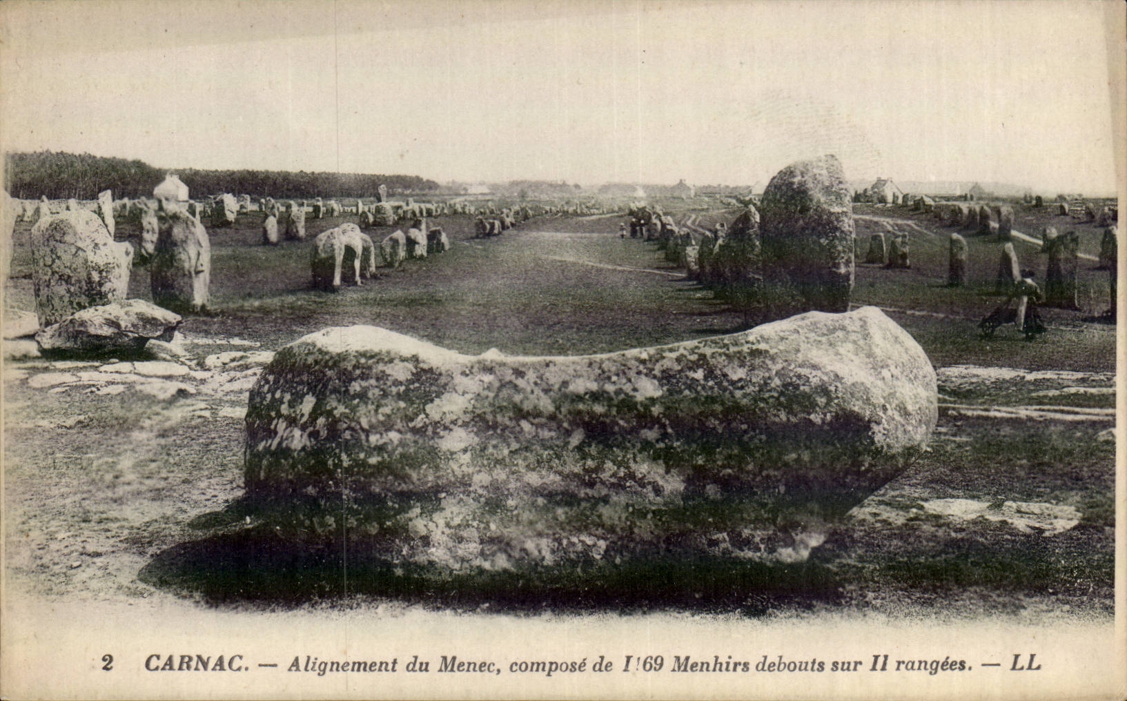Carnac CPA Alignement du Menec compose de 169 menhirs alignes sur 11 rangees