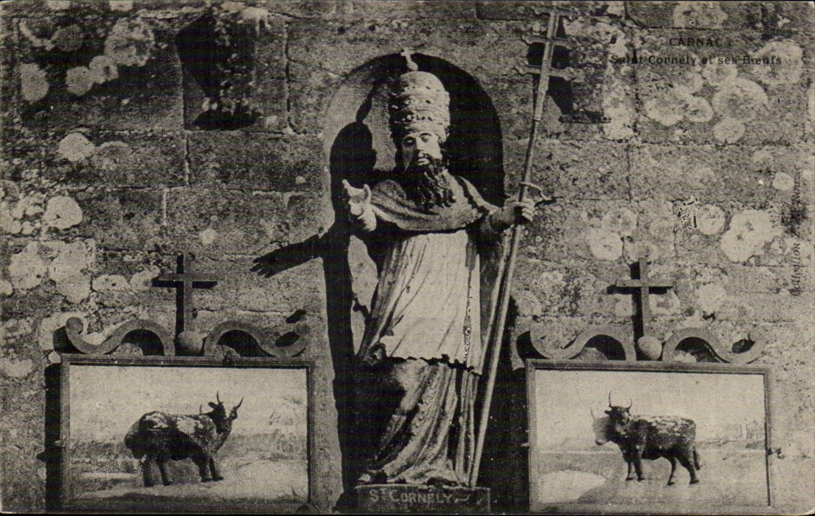 Carnac CPA Saint Connely et ses boeufs