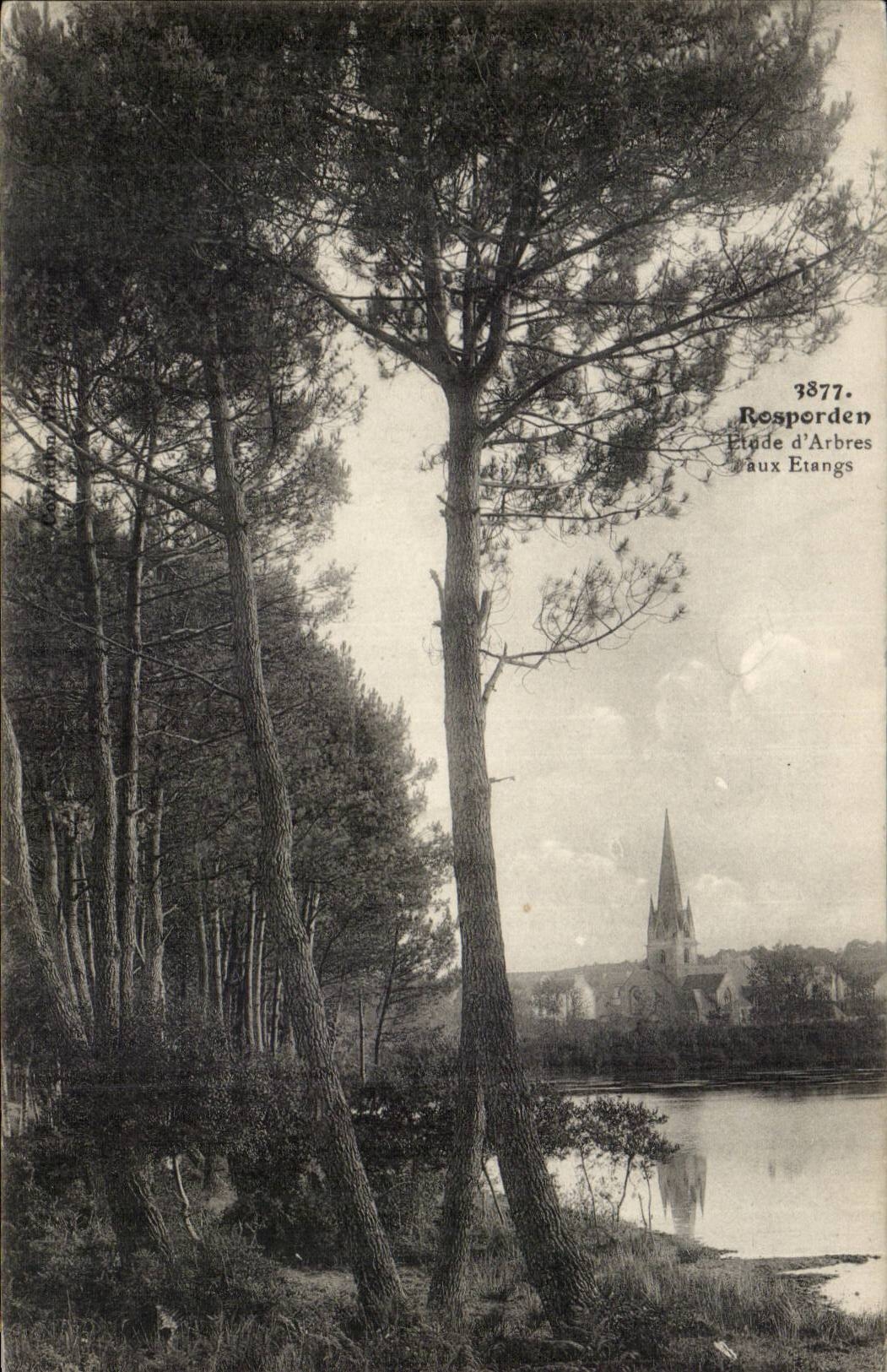 Rosporden CPA Details of trees to the ponds