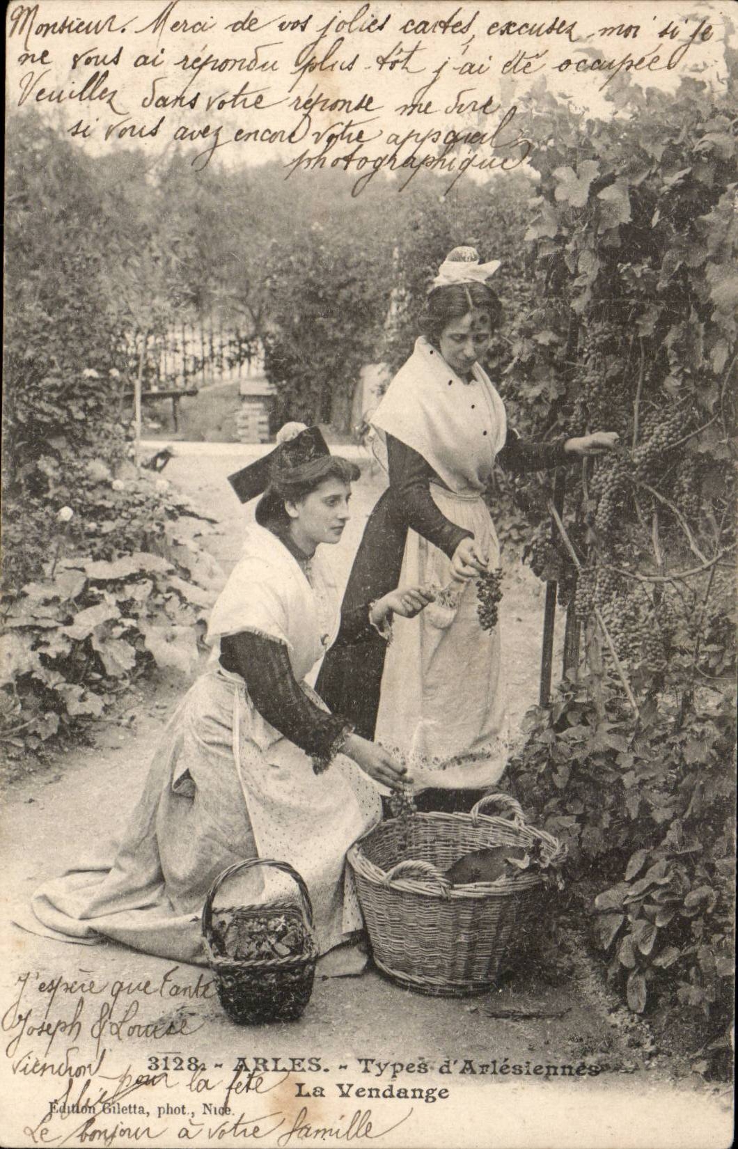 Standard Arles CPA of arlesienne vintage TOP (agriculture vines