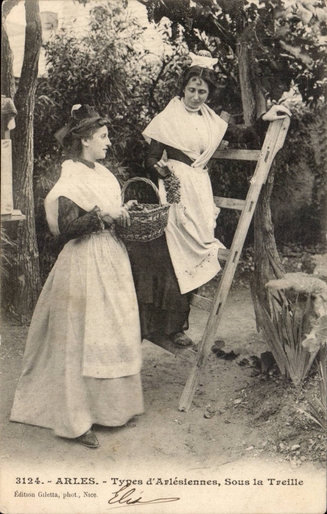 Standard Arles CPA of arlesiennes Under Treillised vineyard TO%P