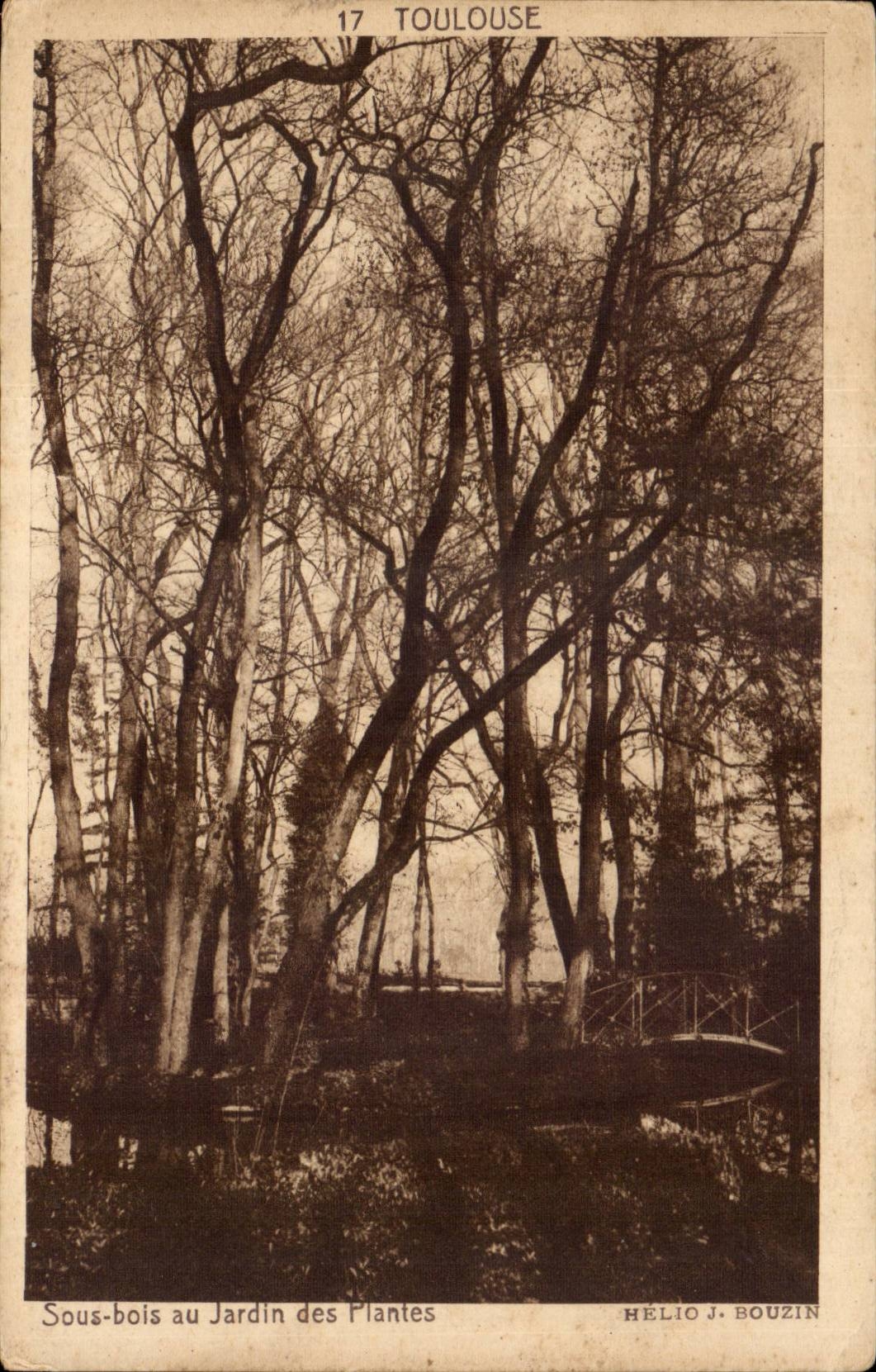 Toulouse CPA Sous bois du jardin des plantes