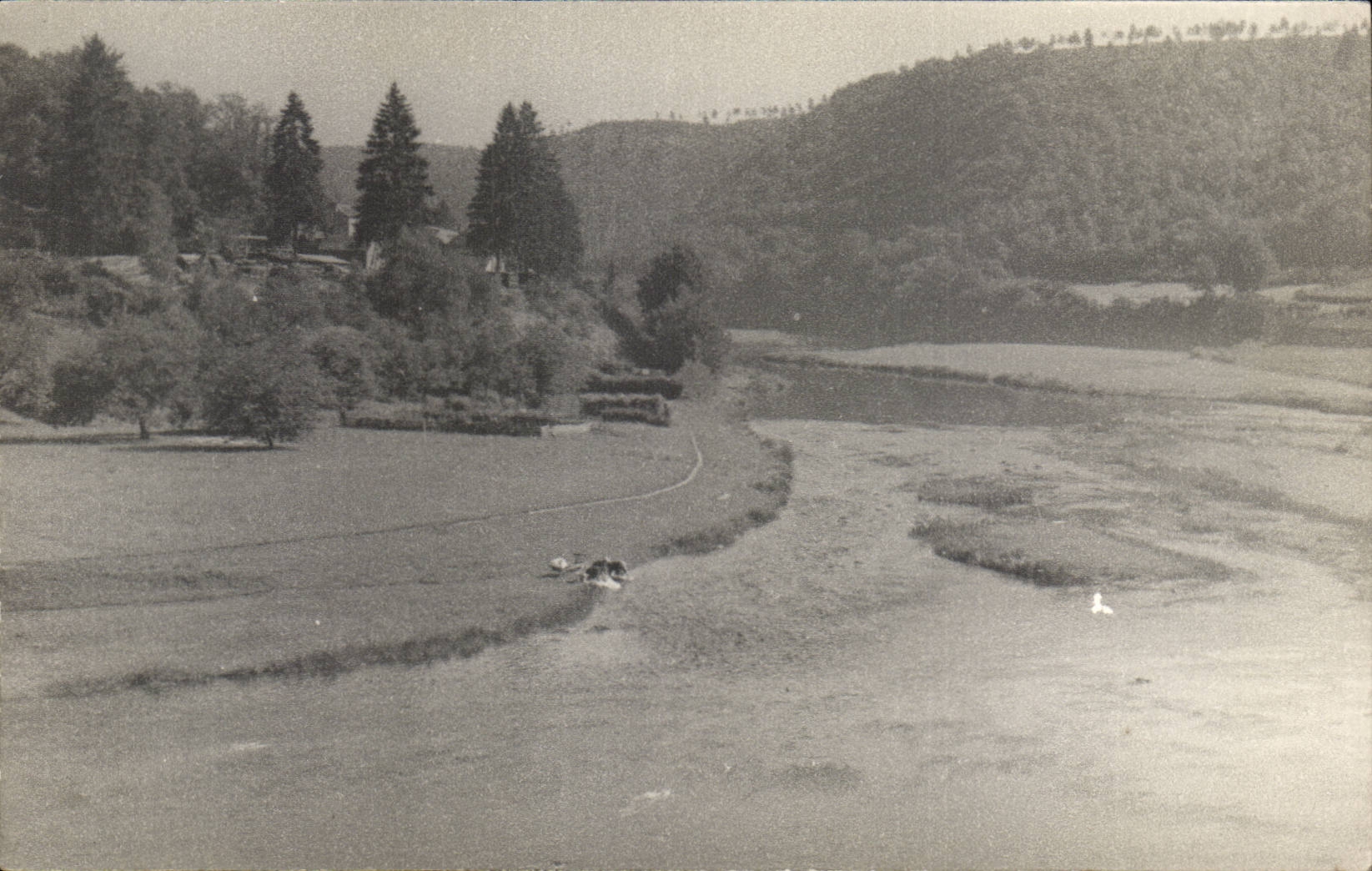 Real photo Landscape