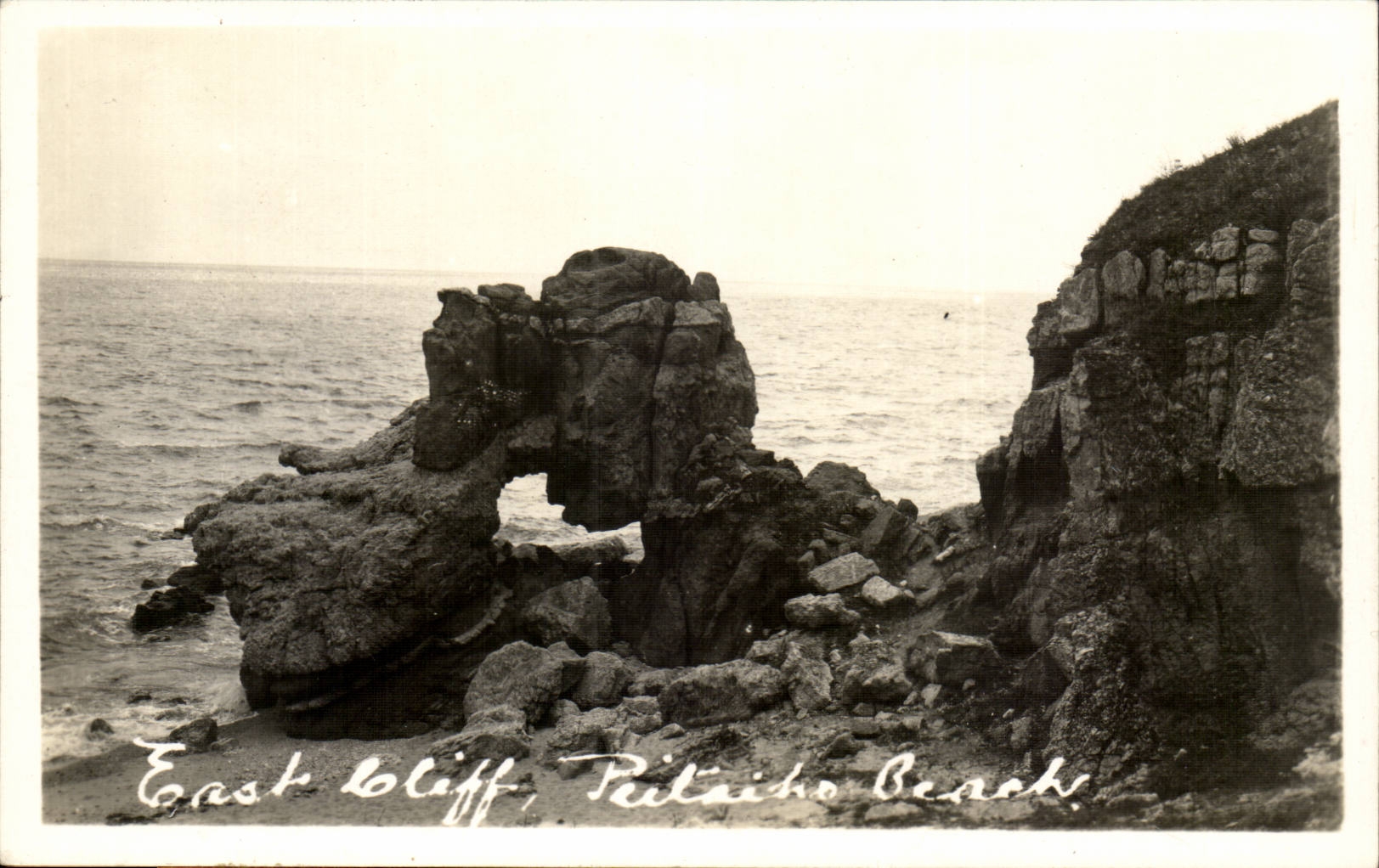 Real photo East cliff Putaiho cliff