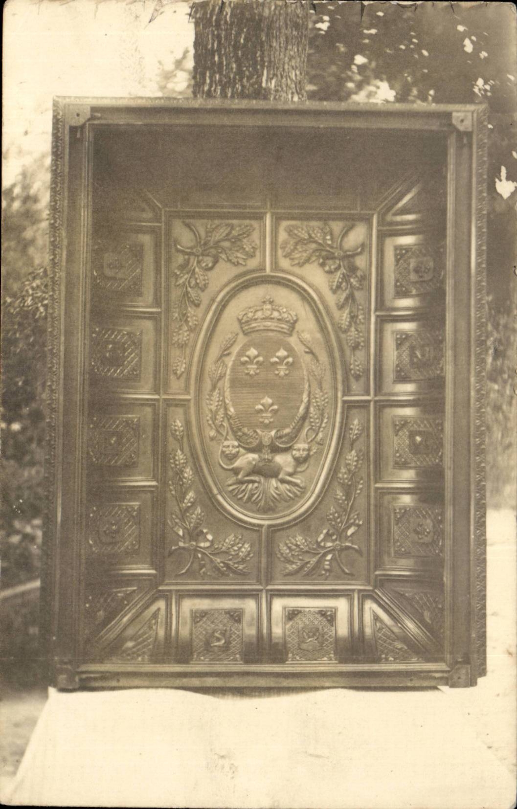 Real photo Book and weapons (heraldric tiger cat)