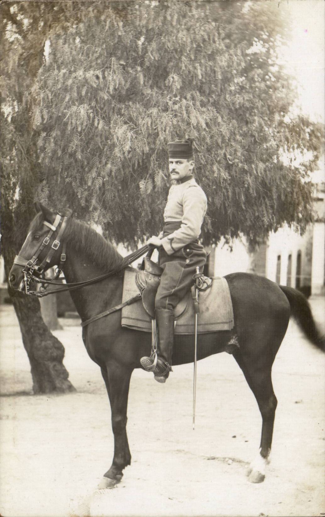 Real photo Militaria Hussard horse
