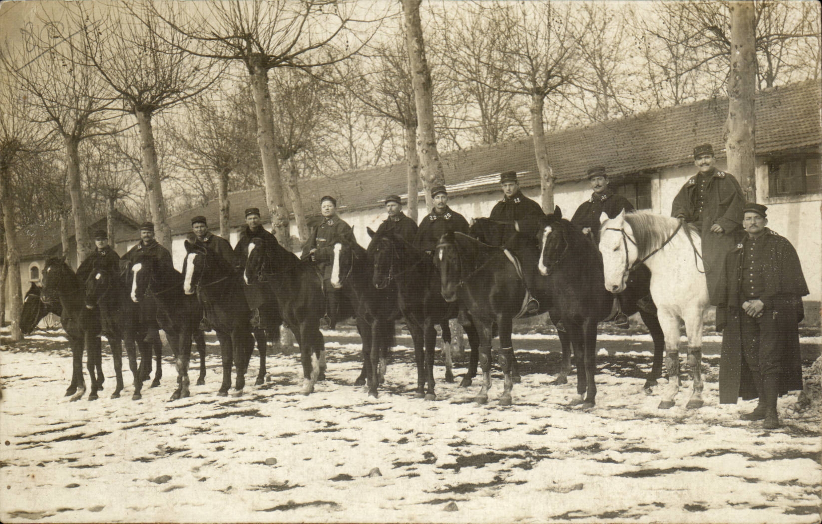 Real photo 22nd Cuirassiers of Sathonnay Militaria Horses