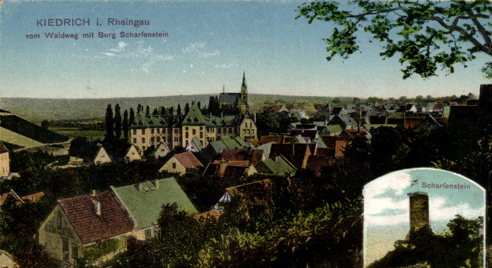 Germany CPA Rheingau vom Waldweg put Burg Scharlenstein