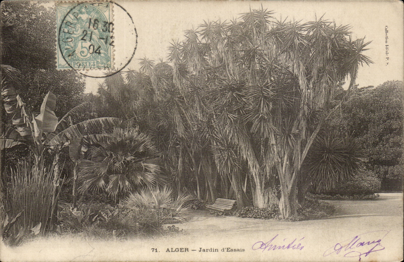 Garten Algerien-Algiers CPA der Tests