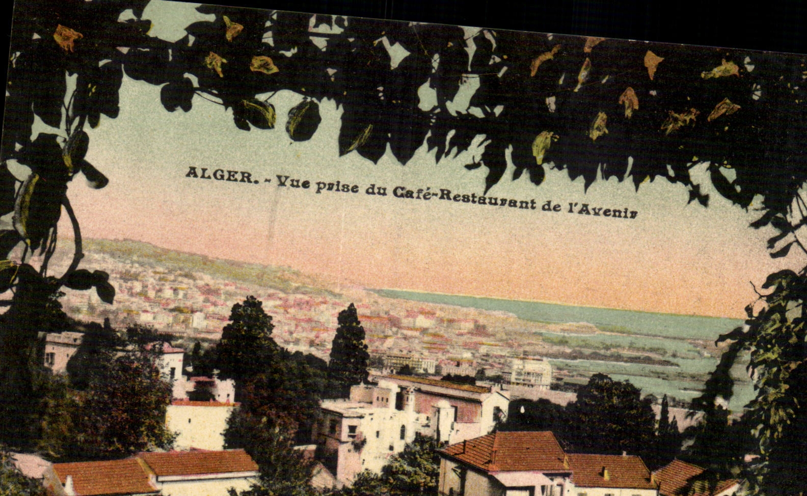 Algerien Algiers CPA gesehen vom wieder herstellenkaffee der Zukunft