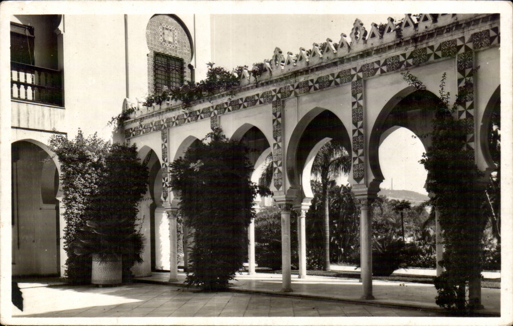 Algeriengeneral Algiers CPA Gaumen des Sommers des Gouverneurs der Pergola