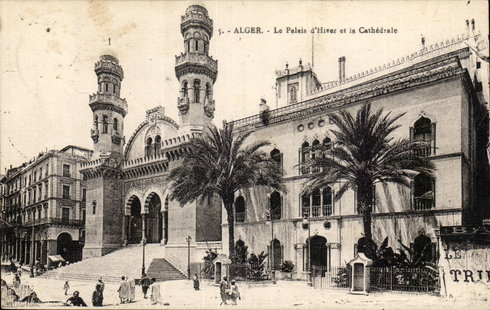 Algerien Algiers CPA der Gaumen des Winters und der Kathedrale