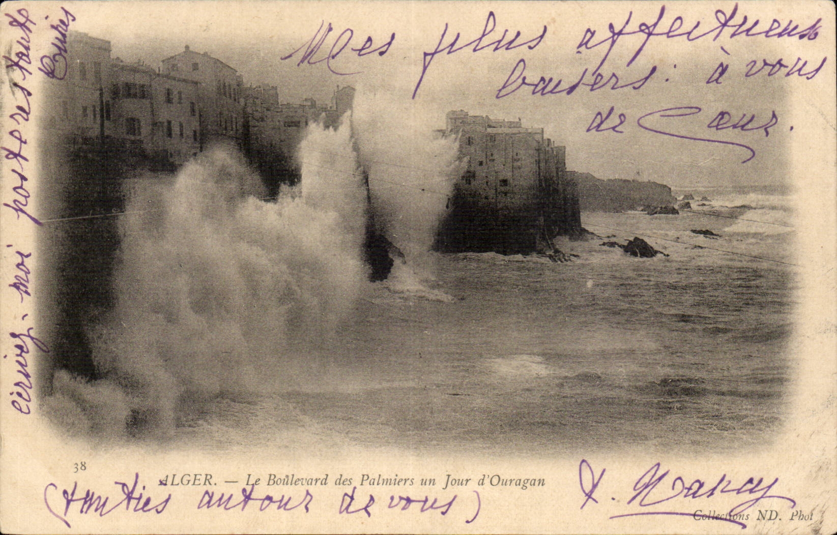 Algerien Algiers CPA die Prachtstrasse der Palmen ein Tag des Hurrikans
