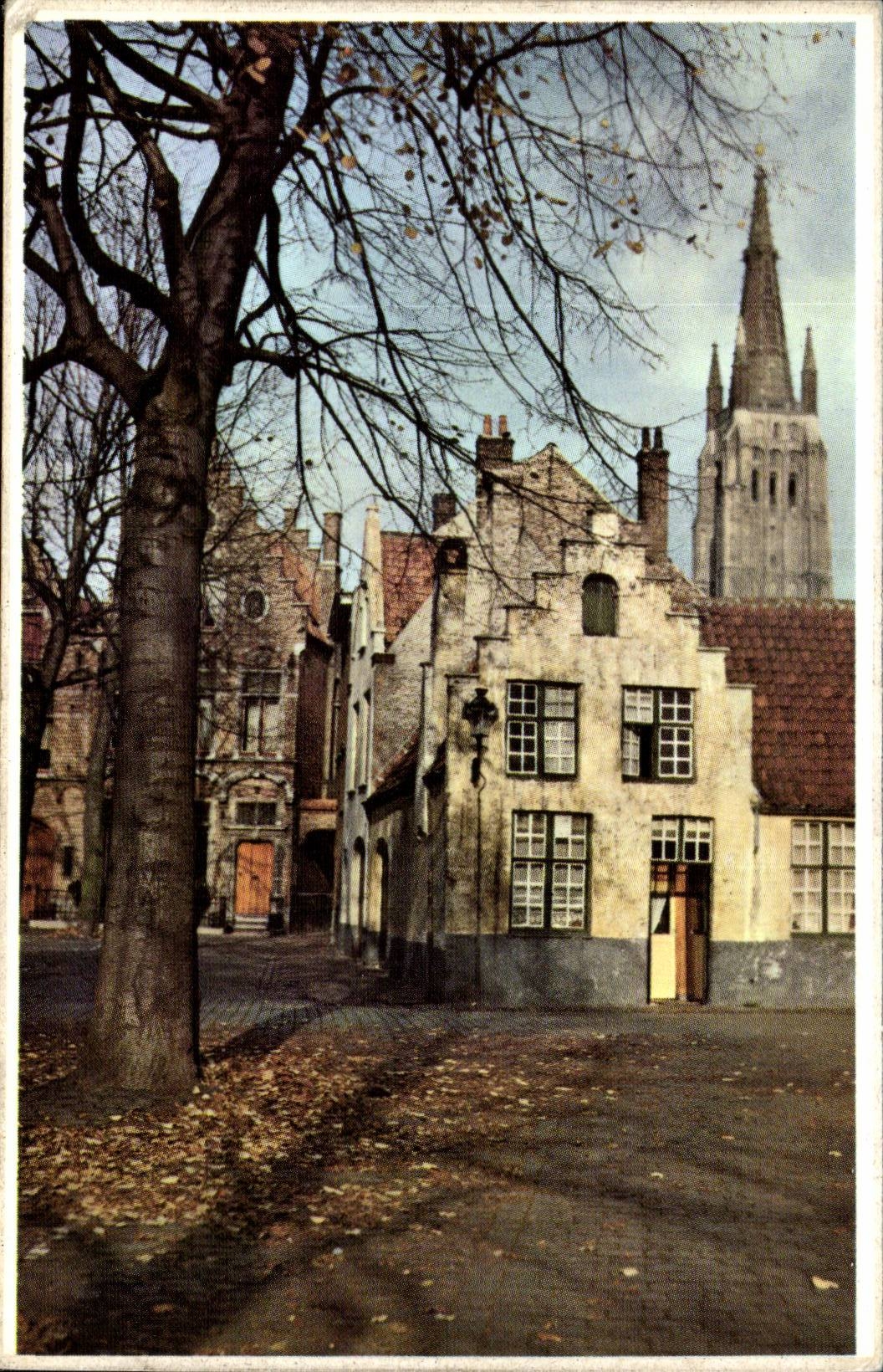 CPSM Belgium Bruges Places vines