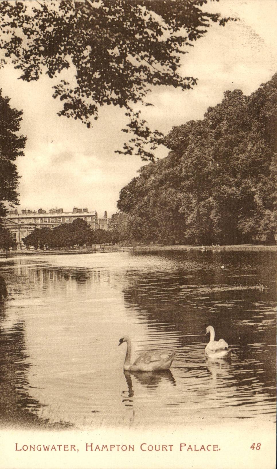 The United Kingdom Great Britain CPA Longwater Hampton Court de luxe hotel (swans swan)