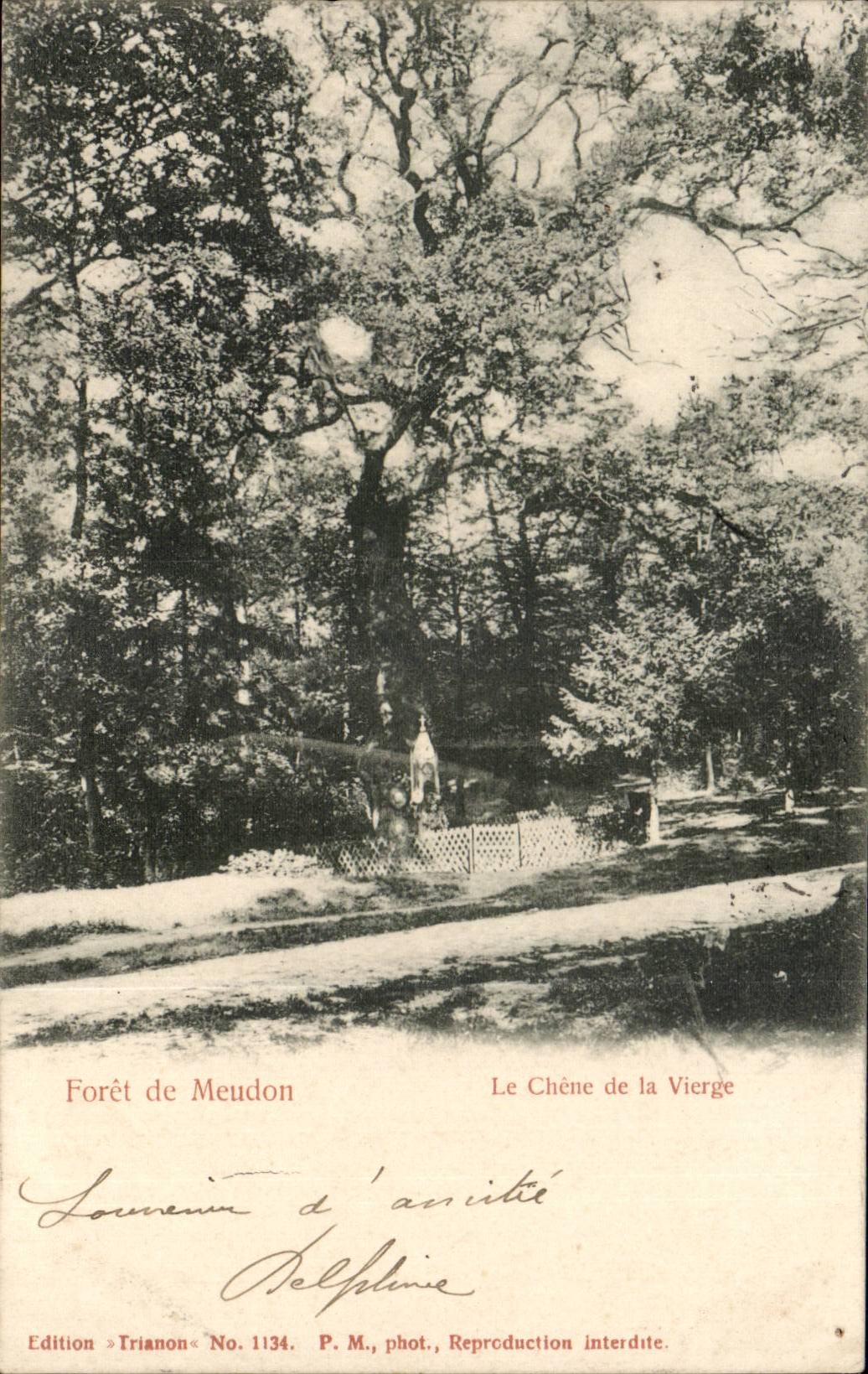 CPA Bohrgerat von Meudon die Eiche vom reinen (Baumbaum)