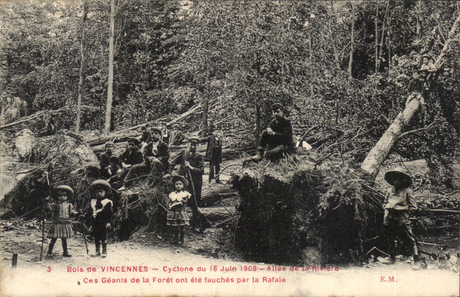 Vincennes CPA Cyclone of the Allee June 16th 1908 of the river These giants of the drill were mowings by the gust (children)