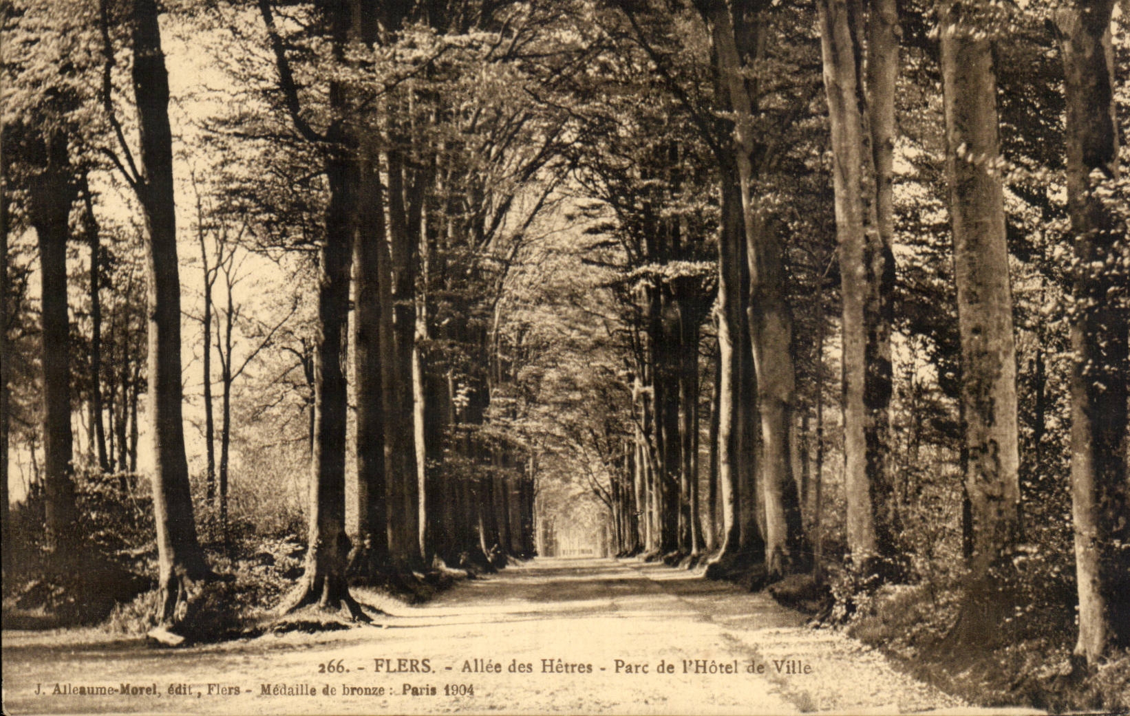 Flers - Allee with the Beeches - Park of Town hall - CPA