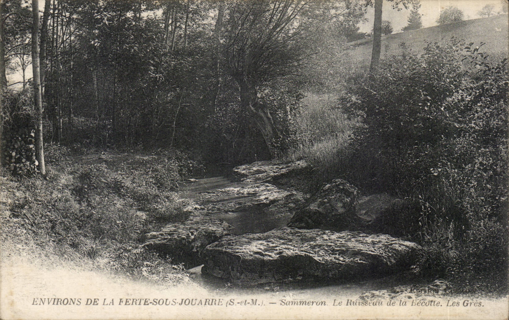 Surroundings of Ferte Under Jouarre - Sammeron - the Bush of Becotte - CPA