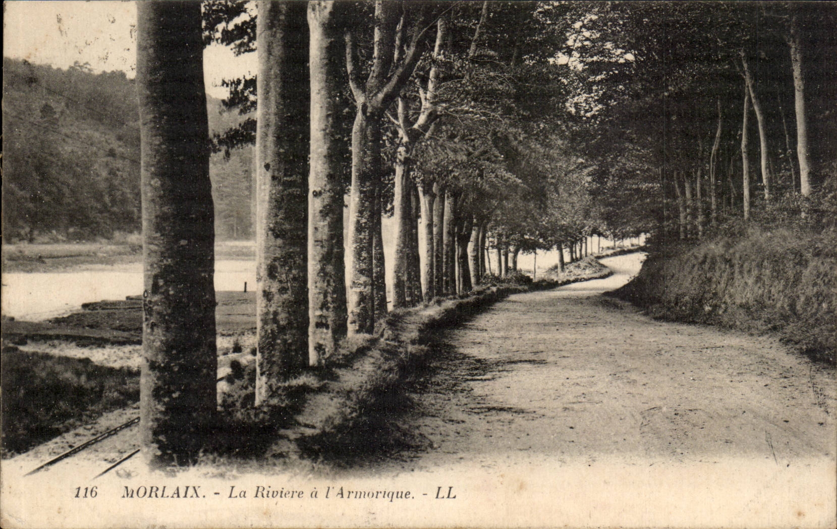 Morlaix - La Riviere a l'Armorique - CPA 