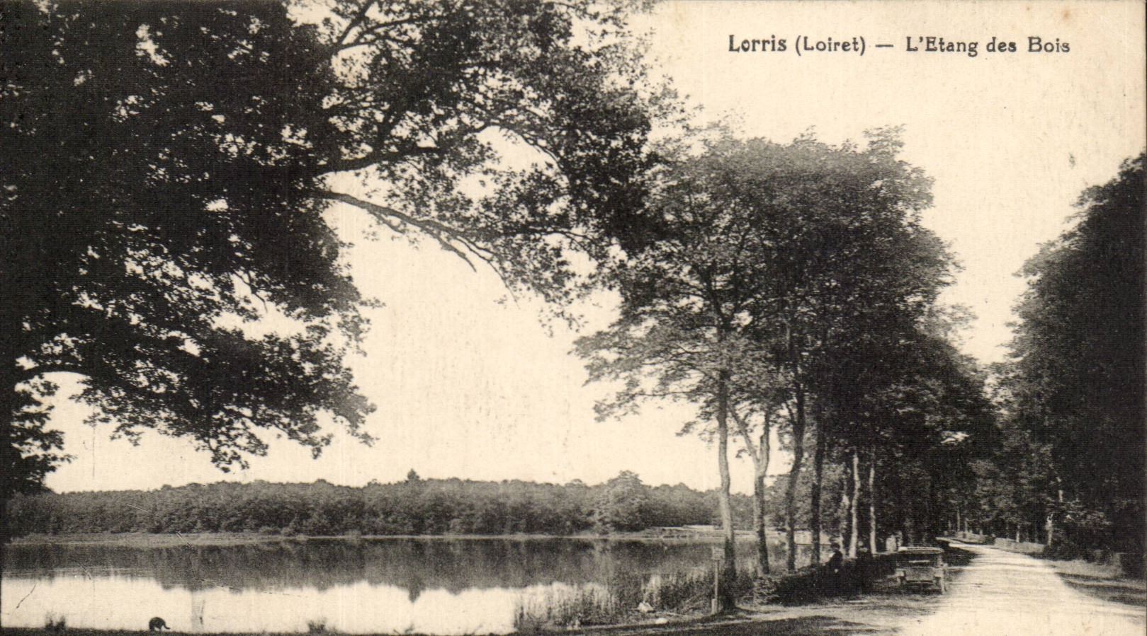 Lorris CPA the pond of wood