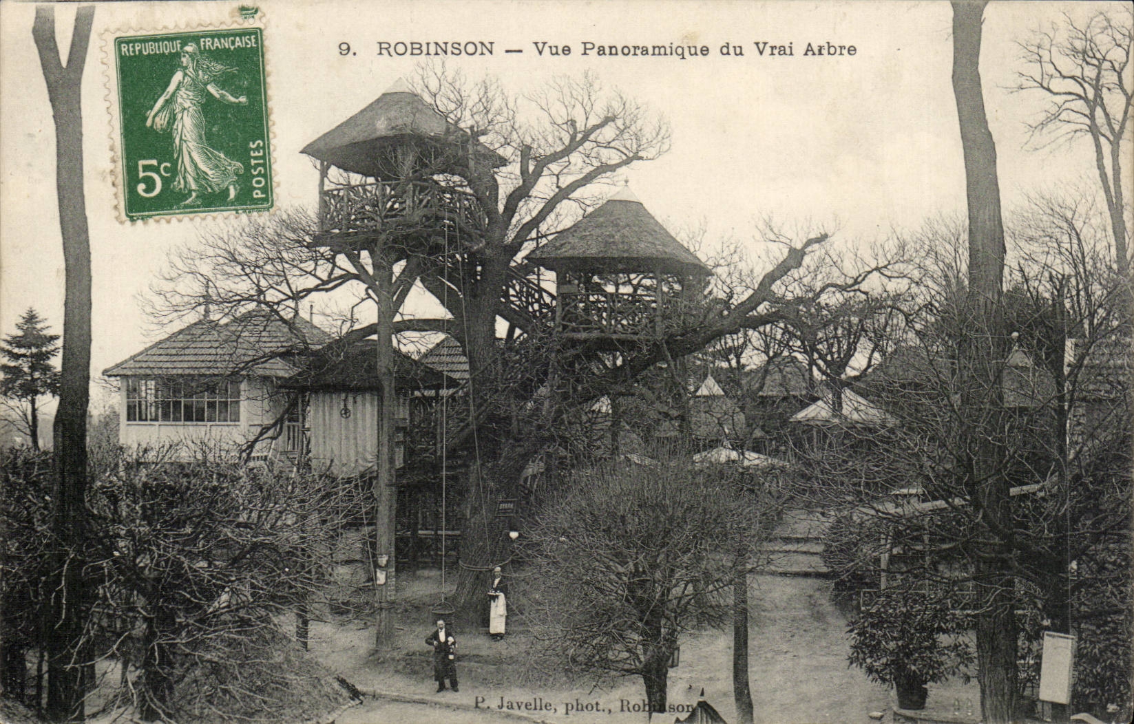 Panoramische Ansicht Robinson-CPA des zutreffenden Baums