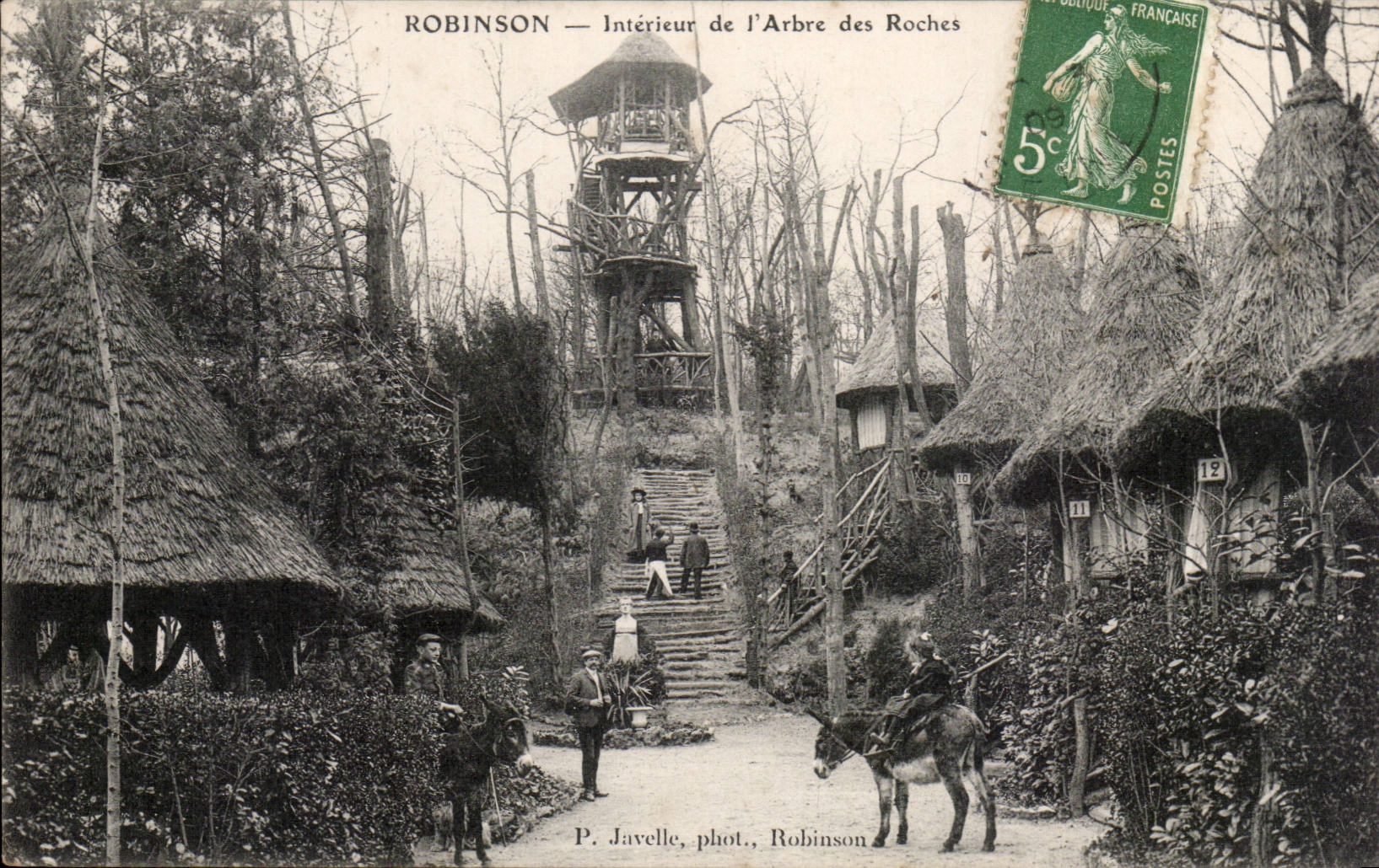 InnenRobinson CPA des Baums der Felsen (Eselsesels-Eselesel)