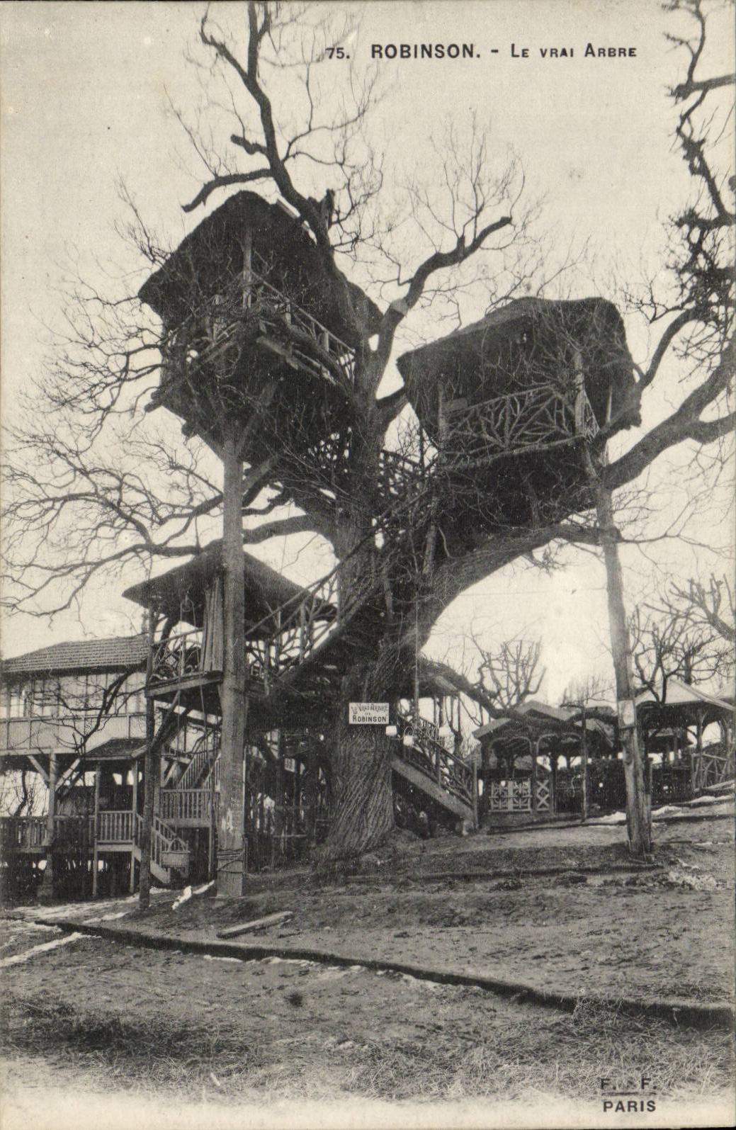 Robinson CPA the true tree