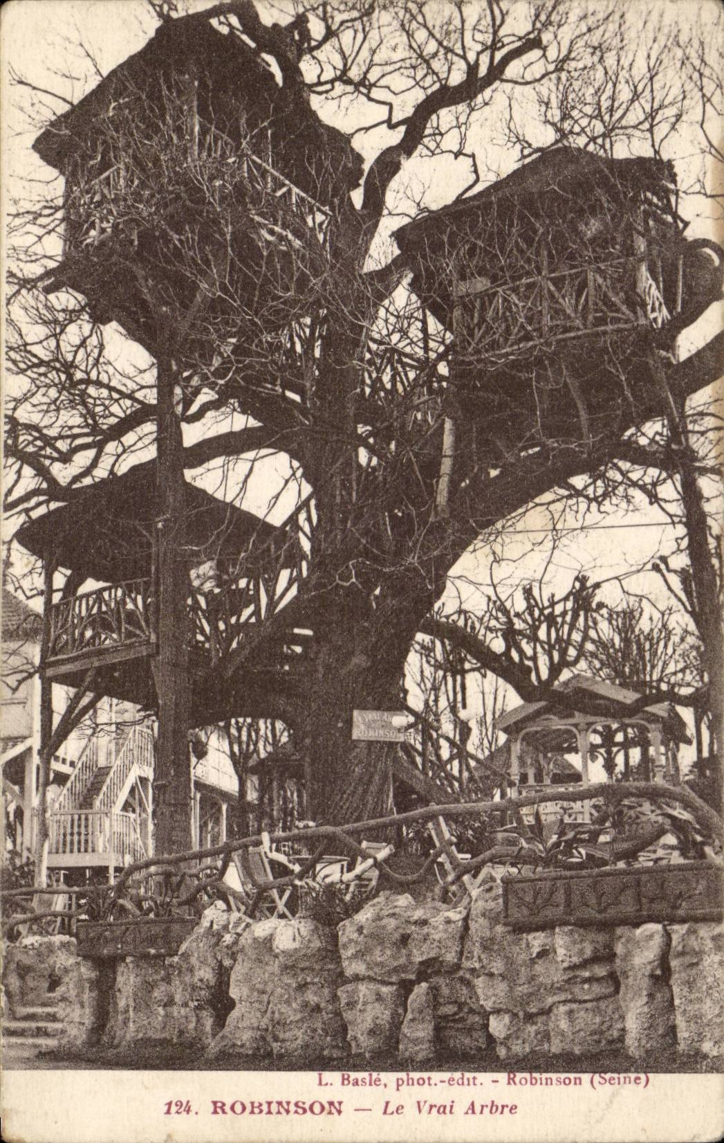 Robinson CPA the true tree